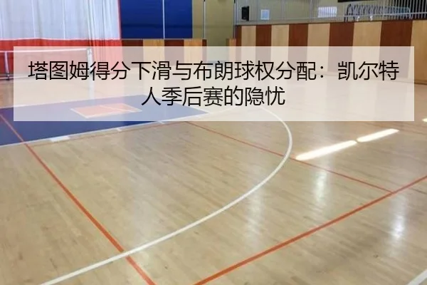 ta-tu-mu-de-fen-xia-hua-yu-bu-lang-qiu-quan-fen-pei-kai-er-te-ren-ji-hou-sai-de-yin-you-2-393.jpg