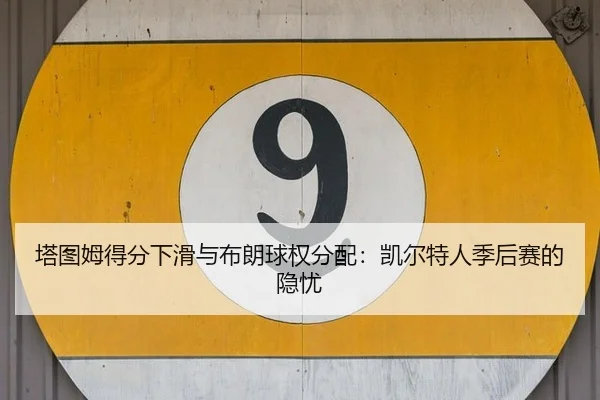 ta-tu-mu-de-fen-xia-hua-yu-bu-lang-qiu-quan-fen-pei-kai-er-te-ren-ji-hou-sai-de-yin-you-3-388.jpg