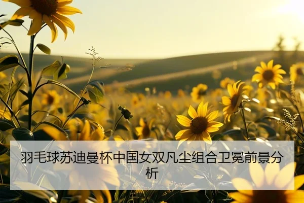 yu-mao-qiu-su-di-man-bei-zhong-guo-nv-shuang-fan-chen-zu-he-wei-mian-qian-jing-fen-xi-2-821.jpg