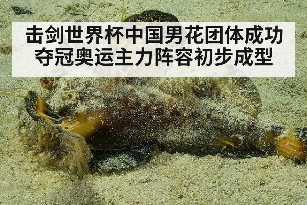 击剑世界杯中国男花团体成功夺冠奥运主力阵容初步成型